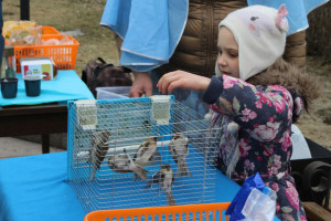 Благовещенская акция «День молитвы о нерожденных детях», 7 апреля 2016г.